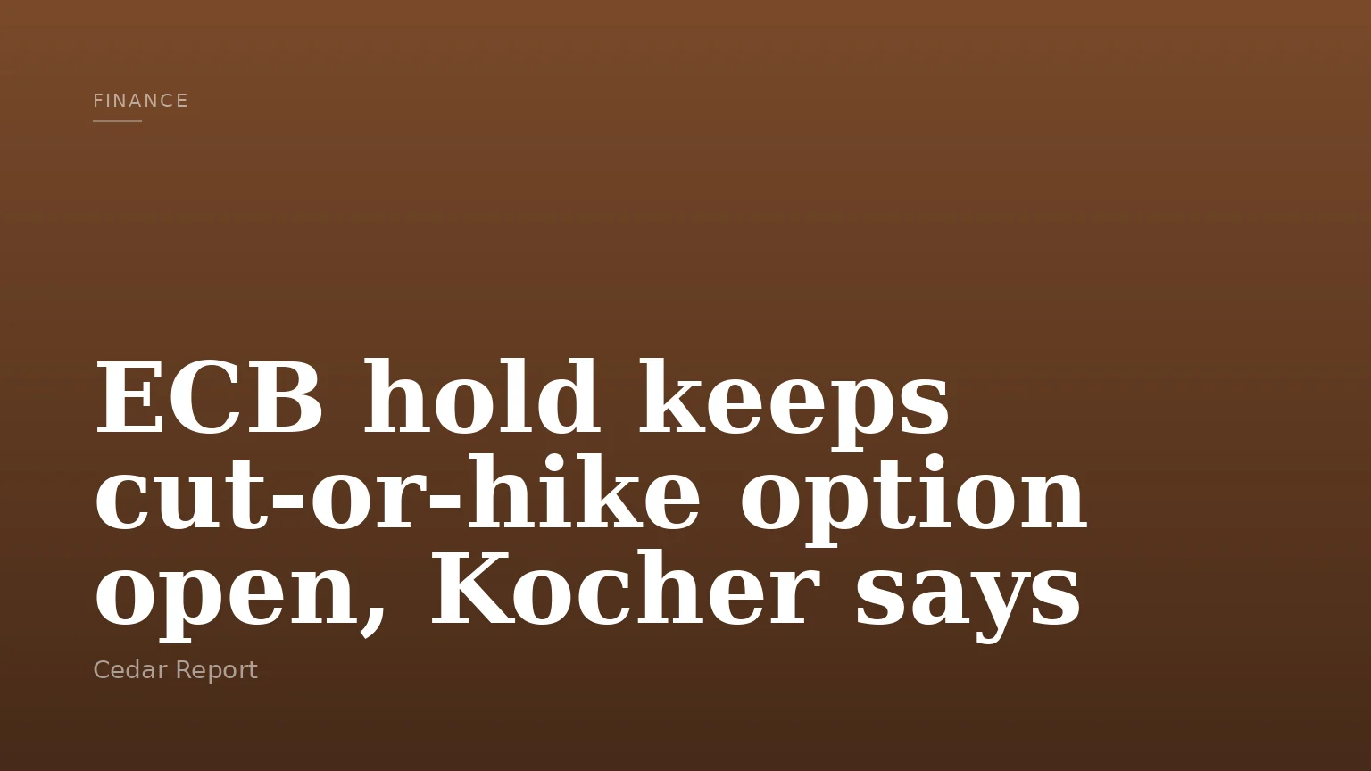 ECB hold keeps cut-or-hike option open, Kocher says