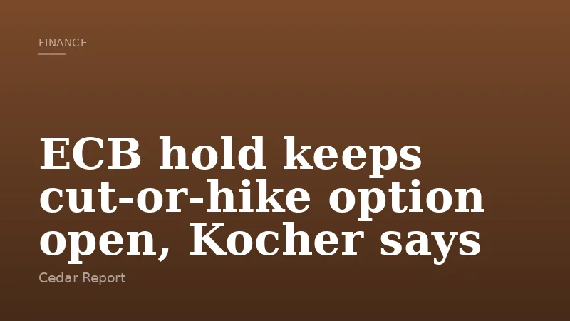 ECB hold keeps cut-or-hike option open, Kocher says