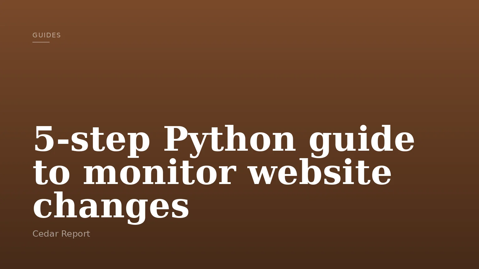 5-step Python guide to monitor website changes
