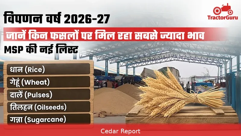 MSP 2026–27 Kharif list: find rates and convert