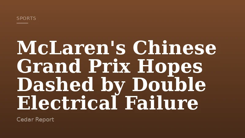 McLaren's Chinese Grand Prix Hopes Dashed by Double Electrical Failure