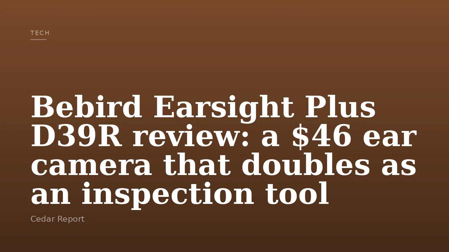Bebird Earsight Plus D39R review: a $46 ear camera that doubles as an inspection tool