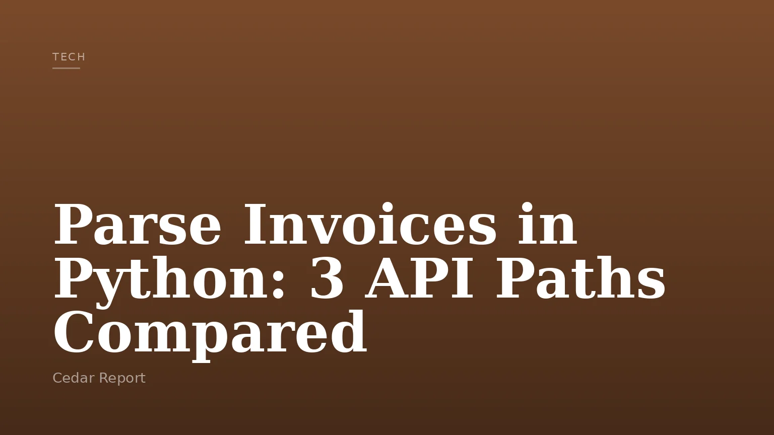 Parse Invoices in Python: 3 API Paths Compared