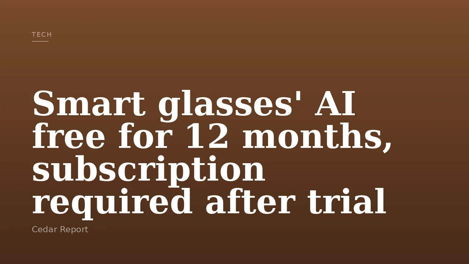 Smart glasses' AI free for 12 months, subscription required after trial