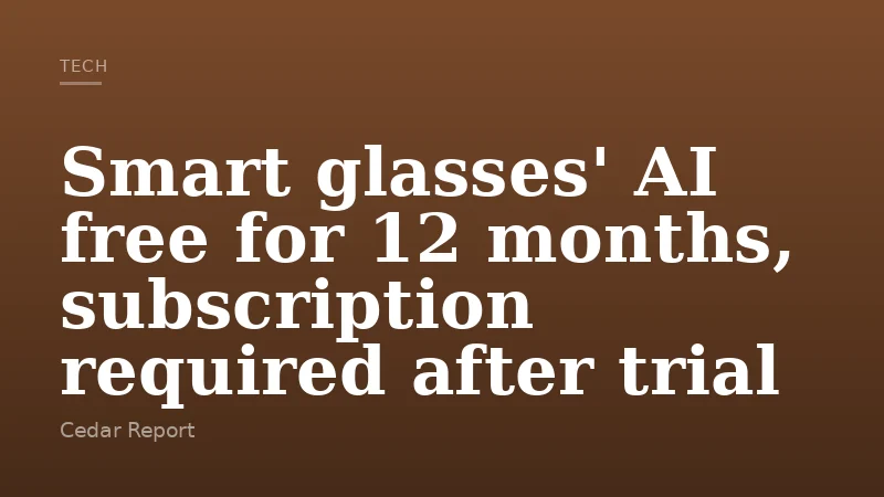 Smart glasses' AI free for 12 months, subscription required after trial