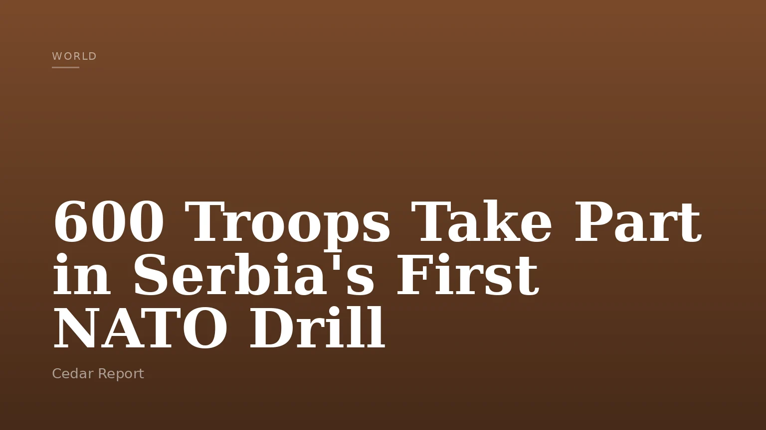 600 Troops Take Part in Serbia's First NATO Drill