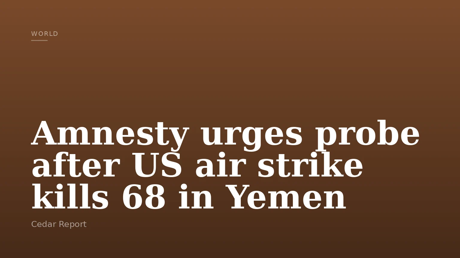 Amnesty urges probe after US air strike kills 68 in Yemen