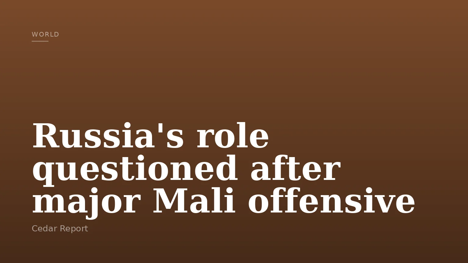 Russia's role questioned after major Mali offensive