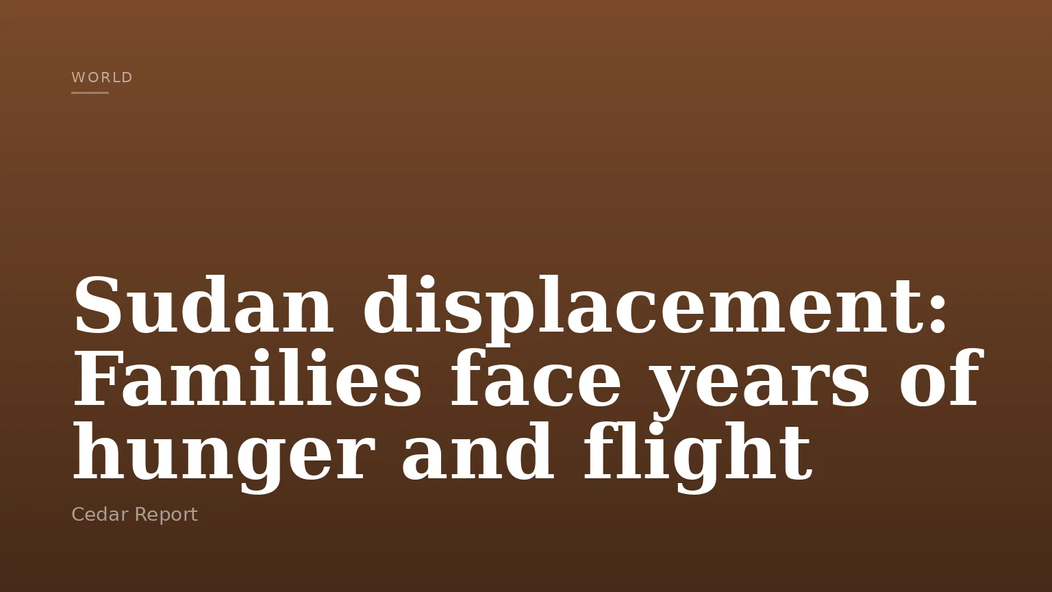 Sudan displacement: Families face years of hunger and flight