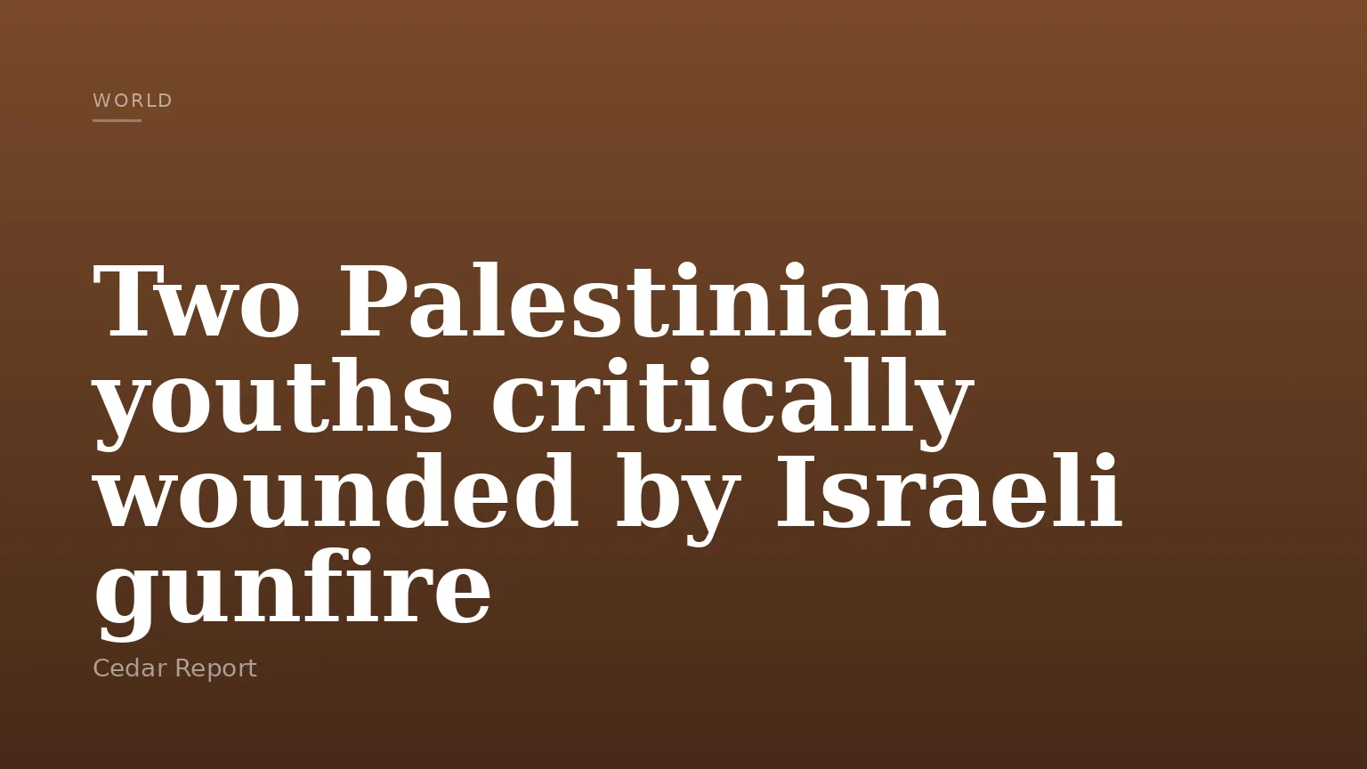Two Palestinian youths critically wounded by Israeli gunfire