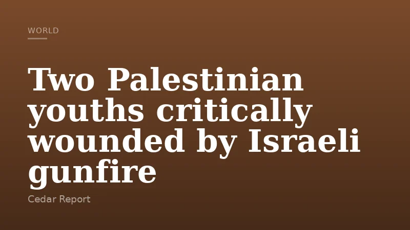 Two Palestinian youths critically wounded by Israeli gunfire