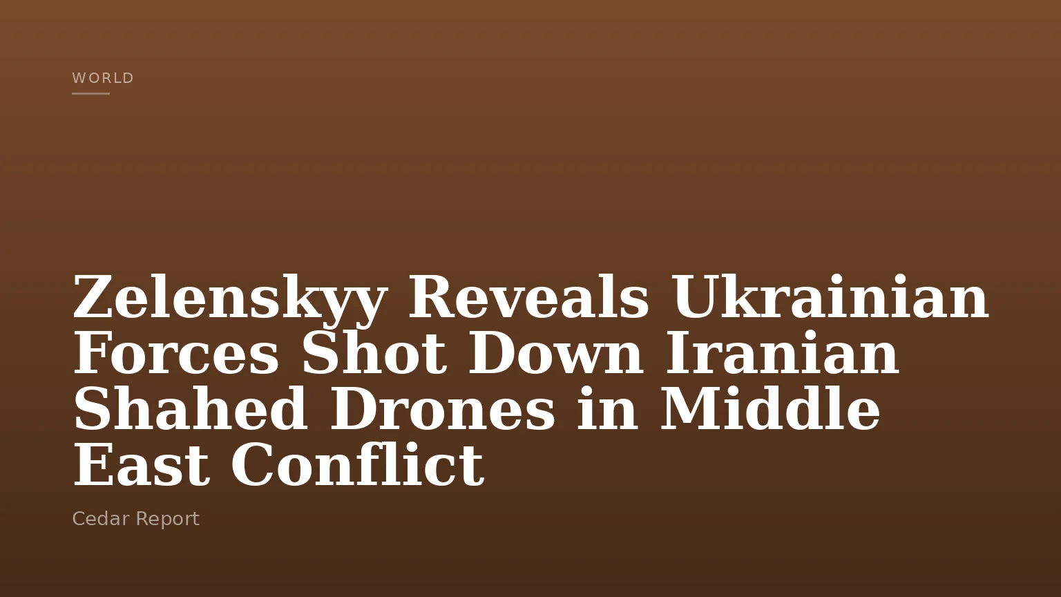 Zelenskyy Reveals Ukrainian Forces Shot Down Iranian Shahed Drones in Middle East Conflict